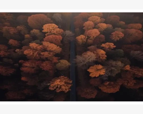 B2B担保交易保障企业资金安全新方式