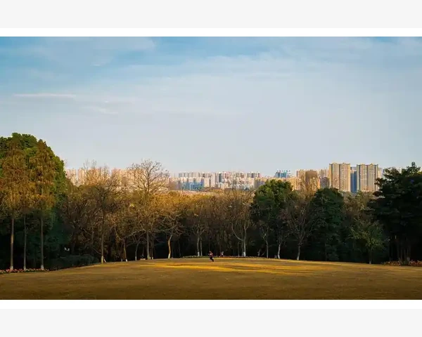 失眠困扰你？到底是看中医还是西医好一点？