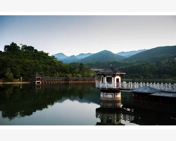 肝炎能喝清肺排毒汤吗